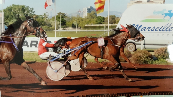 Vends-Cikia-Deiha-pour-la-course-ou-pouliniere