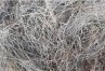Foin-biologique-1