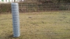 Grillage-pour-chevaux-d---elevage--Abrivert-2