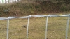 Grillage-pour-chevaux-d---elevage--Abrivert-0