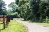 Debourrage-trotteurs-0