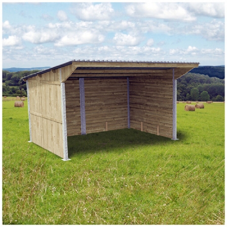 Abri-a-ossature-metallique-en-bois--Abrivert