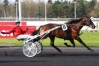 DIABLO-DU-NOYER-0