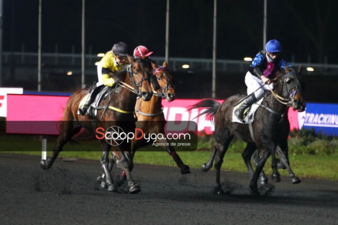 Cede-Fed-du-Patural-131000-euros-de-gains-record-1-12-2-monte-Vincennes-0