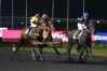 Cede-Fed-du-Patural-131000-euros-de-gains-record-1-12-2-monte-Vincennes-0