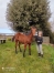 Yearling-9-mois--pere-FEELING-CASH-pere-de-mere-LOVE-YOU-0