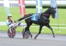 Saillie-UP-AND-QUICK-sans-TVA--Remisee-0