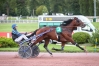 Saillie-2022-SEVERINO-et-OISEAU-DE-FEUX-0