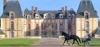Entraineur-public-cherche-chevaux-0