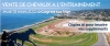Courtier-present-a-la-vente-Osarus-a-Cagnes-0