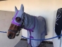 Chevaux-a-courir-0