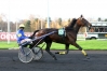 Saillie-de-REDEO-JOSSELYN-0