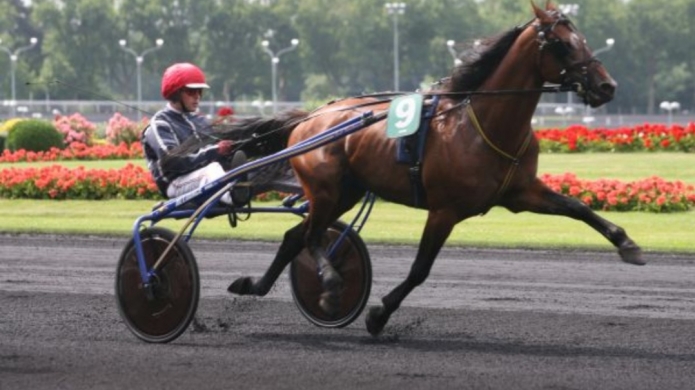 Offre-Saillies-contre-50-pour-cent-prime-eleveur