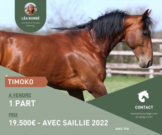 PART-DE-TIMOKO-0
