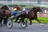 Saillie-FASTISSIME-(Ready-Cash-*-Buvetier-d---Aunou)-sans-TVA-0