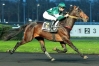Saillie-2022--0