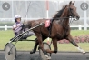 Arrangement-Saillie-gratuite-Ulysse--monte-dans-le-Grand-Est-0