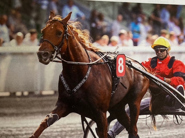 Saillie-Classic-Way