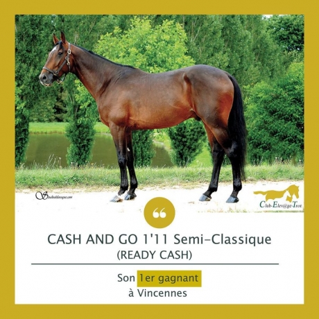 Propose-FOAL-SHARING-de-CASH-AND-GO-sur-pouliniere-categorisee-0