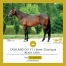 Propose-FOAL-SHARING-de-CASH-AND-GO-sur-pouliniere-categorisee-0