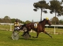 GLOIRE-DE-JANEIRO--Prete-a-courir-0