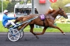 VENDS-PART-CARAT-WILLIAMS-SANS-TVA-ET-SAILLIE-A-PARTIR-DE-2023-0