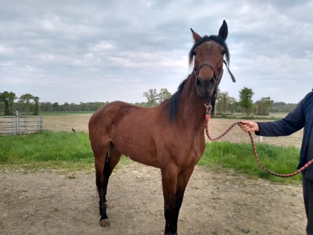 Jolie-PEPETTE-Qualifiee-inedite-en-1---18------4-a-Caen