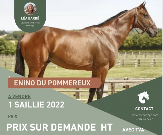 Enino-du-Pommereux