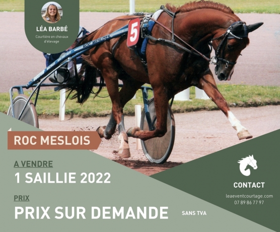 ROC-MESLOIS-SANS-TVA