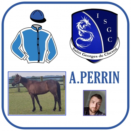 Entraineur-en-Mayenne-recherches-chevaux-qualifie-ou-a-ressayer