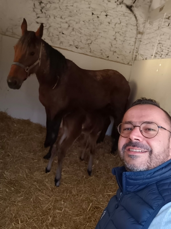 TEST-ANNONCES-FRANCOIS-BREBION-0