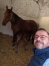 TEST-ANNONCES-FRANCOIS-BREBION-0