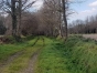 Pension-pour-chevaux-0