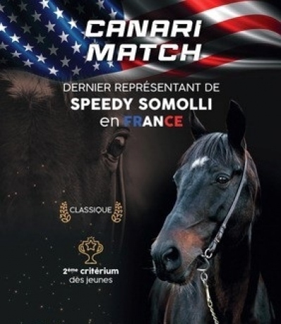 Votre-jument-est-toujours-vide--Profitez-de-l-offre-speciale-CANARI-MATCH-pour-Mai-et-Juin-2023-0
