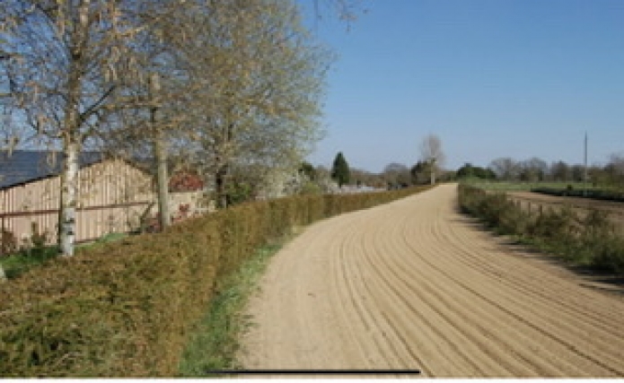 Recherche-chevaux-0
