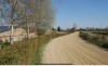Recherche-chevaux-0