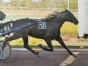 Vend--quot;E-quot;-59000-euro;-gs-pour-pro-ou-amateur-0