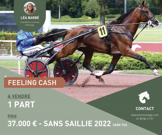PART-DE-FEELING-CASH--SANS-TVA