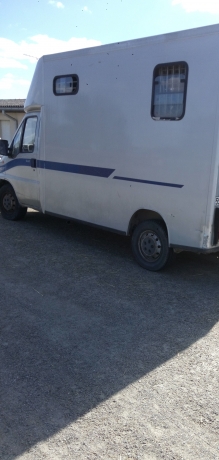 AV-porte-chevaux-Jumper