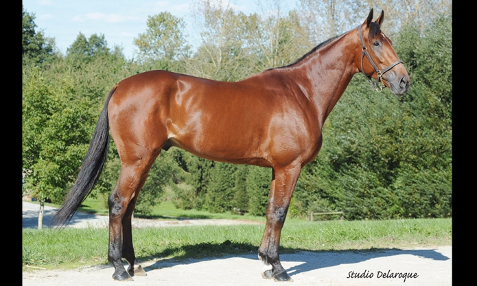 Baltic-Charm--part-ou-saillie-tres-remisees-0