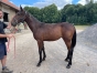 VD-PART-DE-10--DE-LIZY-QUEEN-1