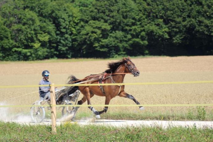 J-qualifiee-inedite-avec-potentiel-2