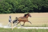 J-qualifiee-inedite-avec-potentiel-2