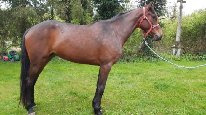 J-qualifiee-inedite-avec-potentiel-1