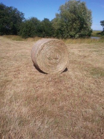 Foin-en-Balle-Ronde-2022-1