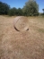 Foin-en-Balle-Ronde-2022-1