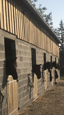 Pension-pre-entrainement-et-debourrage