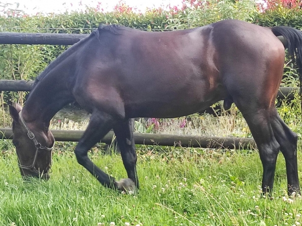 Entraineur-cherche-pret-a-courir