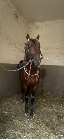 H-21000-euro;-de-Gains-a-vendre-15000-euro;
