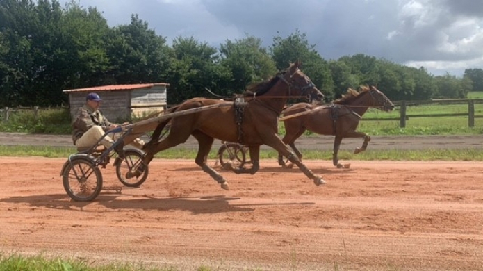 Vends-ou-loue-Julcie-de-Beaucamp-(Booster-Winner)-qualifiee-3-courses-260-euros-gains